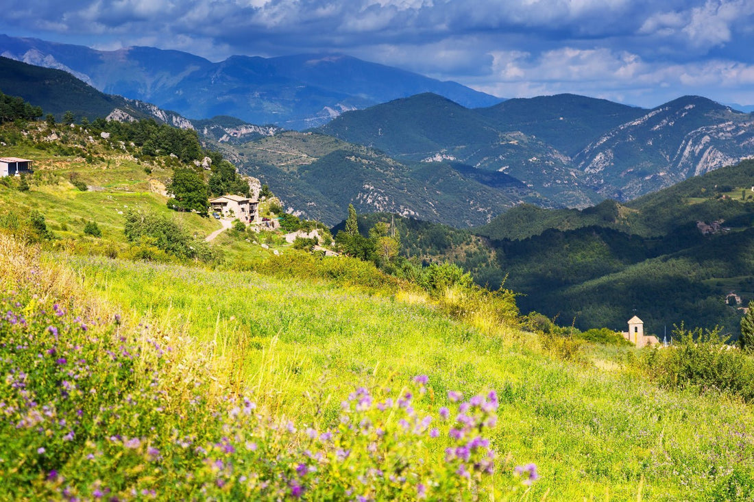 Le tourisme durable : voyager autrement - Yuna